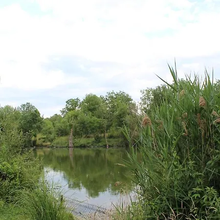 Les Granges D'antan - Le Refuge Du Forestier - Profitez D'un Nid Douillet Sans Eau Ni Electricite-g אוהל מפואר